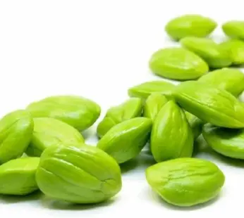 حبوب بيتيه (بذور الساتور)