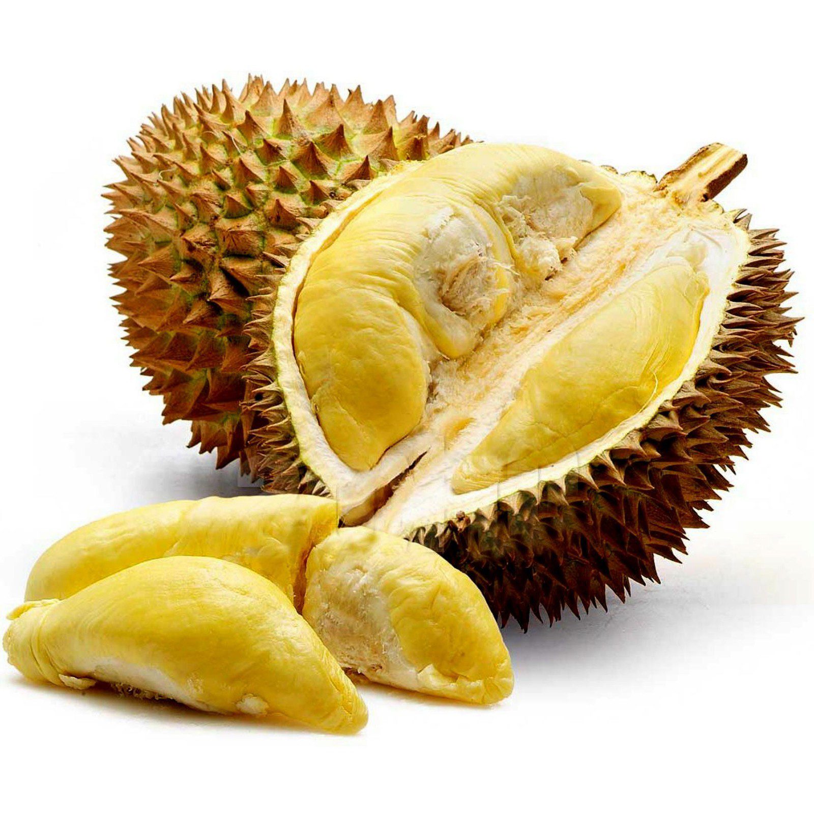 فاكهة دوريان (Durian)