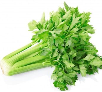 عشبة الكرفس الاخضر