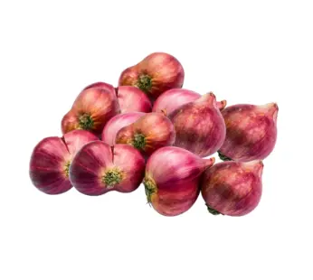 البصل الأحمر(بصل شالوت)