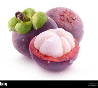 فاكهة المانغوستين