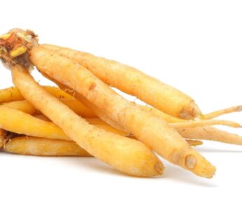 الكونشي  (جذور الكراشاي )