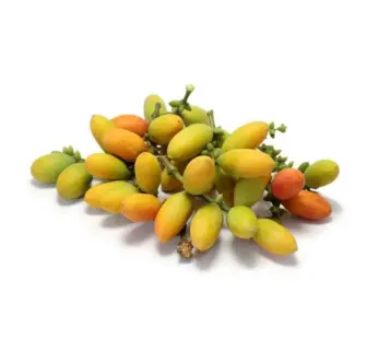 ثمار الميلينجو الناضجة (جنيتوم جنيمون).