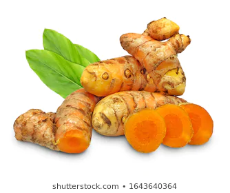 جذور الكركم الطازجة ،كونيت