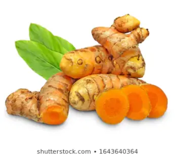 جذور الكركم الطازجة (Turmeric)،كونيت