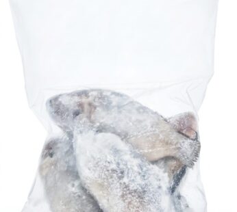 سمك “ساردينلا جيبوسا”