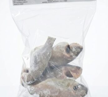 سمك “ساردين” مجمد