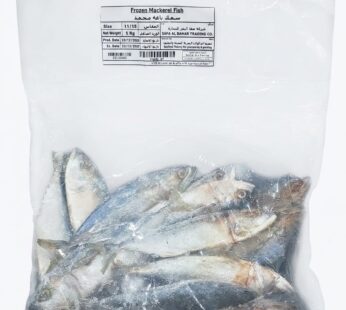 سمك ماكريل مجمد